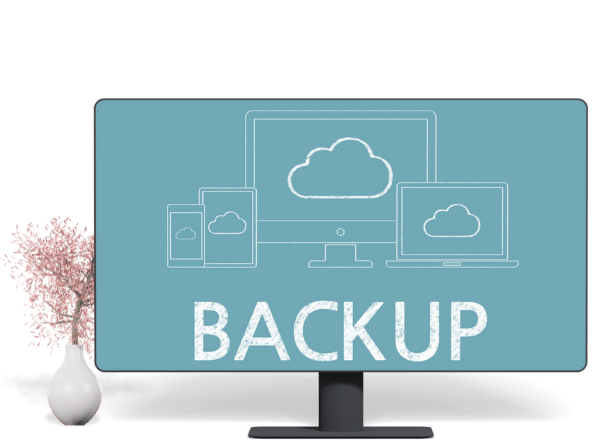 Daily Backups